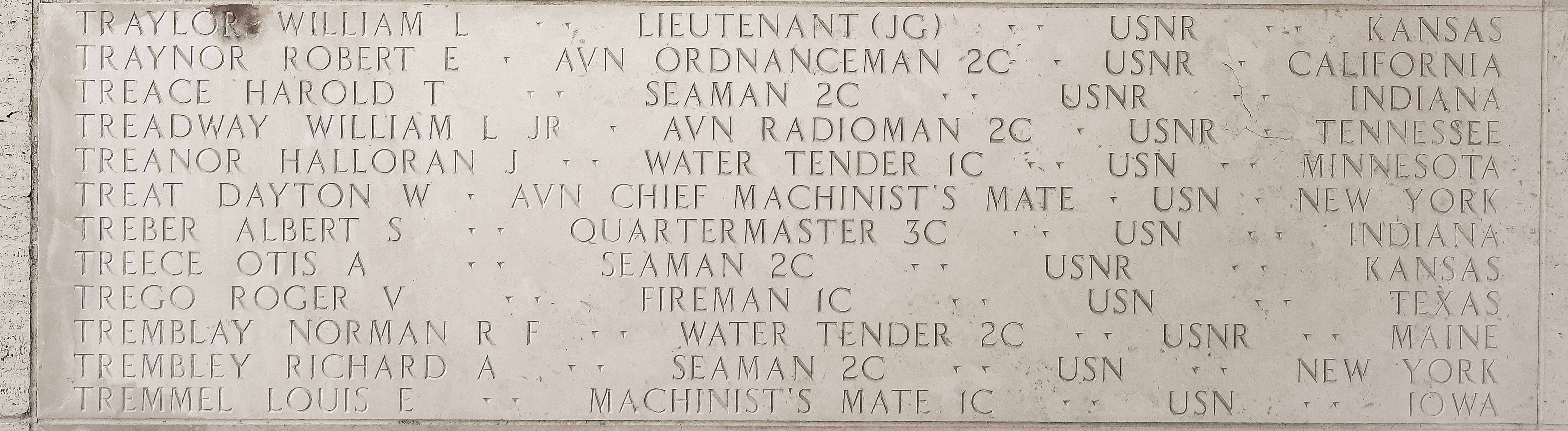 Dayton W. Treat, Aviation Chief Machinist's Mate